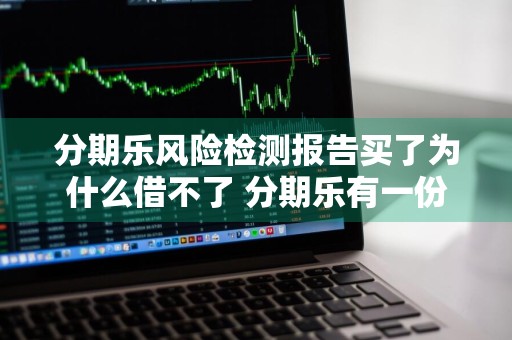 分期乐风险检测报告买了为什么借不了 分期乐有一份风险检测报告