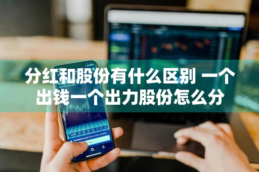 分红和股份有什么区别 一个出钱一个出力股份怎么分