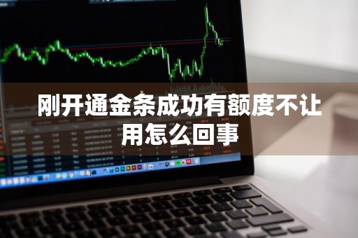 刚开通金条成功有额度不让用怎么回事