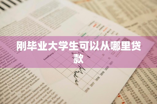 刚毕业大学生可以从哪里贷款