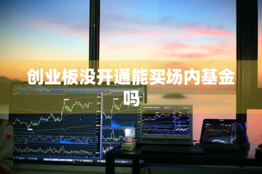 创业板没开通能买场内基金吗