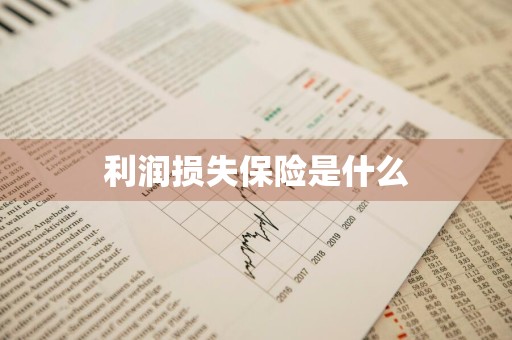 利润损失保险是什么