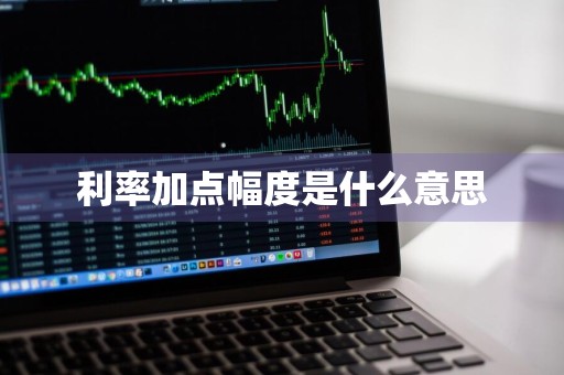 利率加点幅度是什么意思