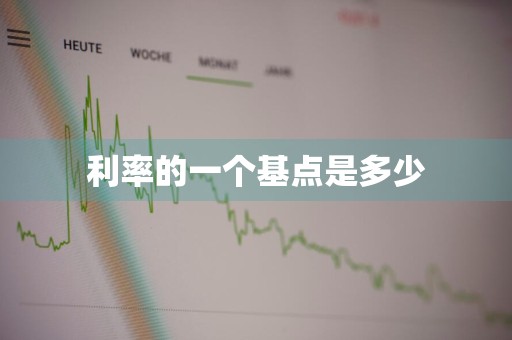 利率的一个基点是多少