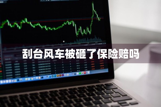 刮台风车被砸了保险赔吗