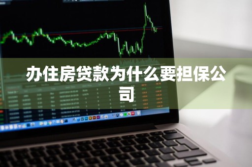办住房贷款为什么要担保公司