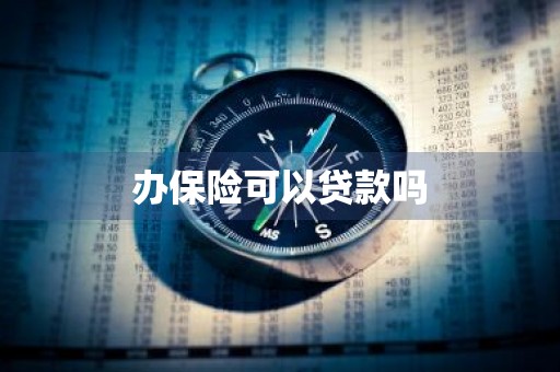办保险可以贷款吗