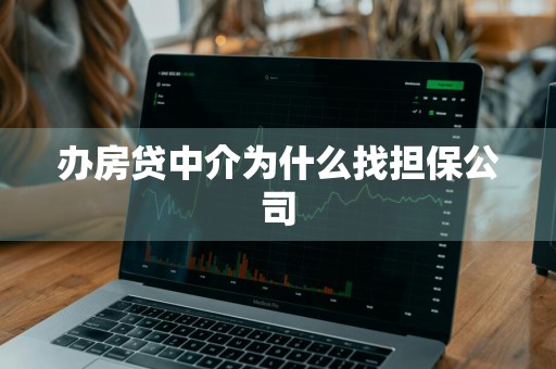 办房贷中介为什么找担保公司