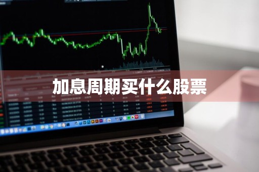 加息周期买什么股票