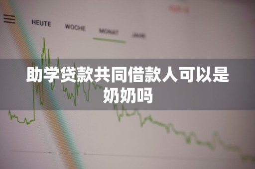 助学贷款共同借款人可以是奶奶吗