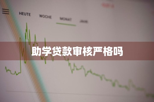 助学贷款审核严格吗