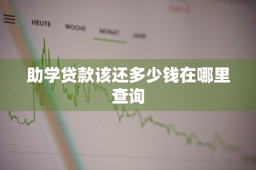 助学贷款该还多少钱在哪里查询