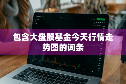 包含大盘股基金今天行情走势图的词条