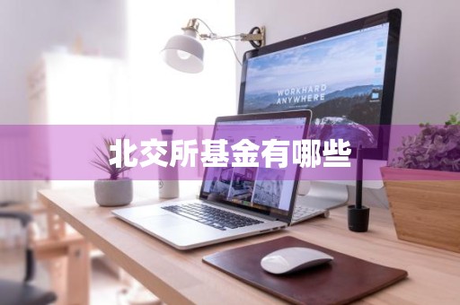 北交所基金有哪些
