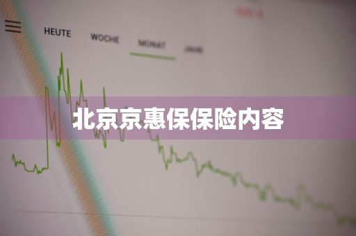 北京京惠保保险内容