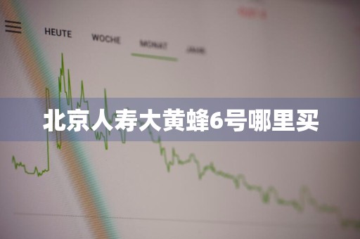 北京人寿大黄蜂6号哪里买