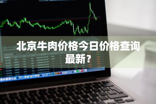北京牛肉价格今日价格查询最新？