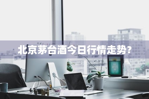 北京茅台酒今日行情走势？