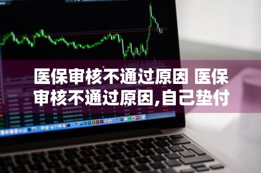 医保审核不通过原因 医保审核不通过原因,自己垫付可以吗