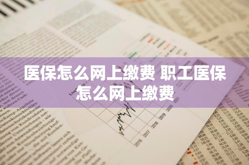 医保怎么网上缴费 职工医保怎么网上缴费