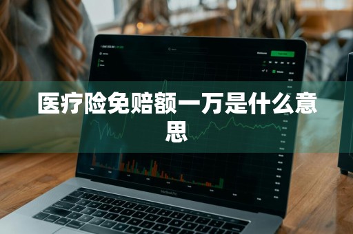 医疗险免赔额一万是什么意思