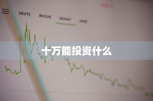 十万能投资什么