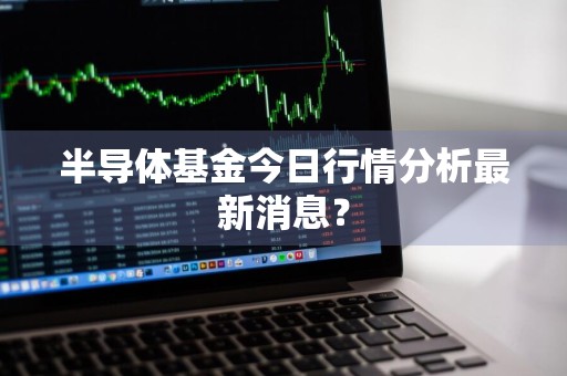 半导体基金今日行情分析最新消息？