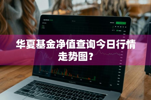 华夏基金净值查询今日行情走势图？