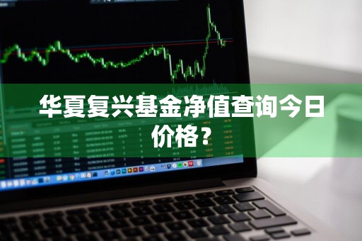 华夏复兴基金净值查询今日价格？