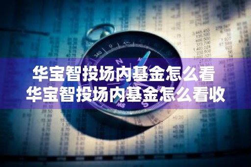 华宝智投场内基金怎么看 华宝智投场内基金怎么看收益
