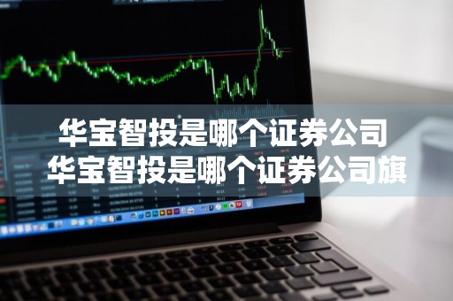 华宝智投是哪个证券公司 华宝智投是哪个证券公司旗下的