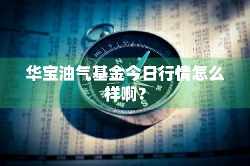 华宝油气基金今日行情怎么样啊？
