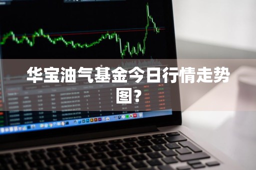 华宝油气基金今日行情走势图？