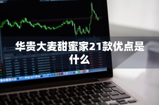 华贵大麦甜蜜家21款优点是什么