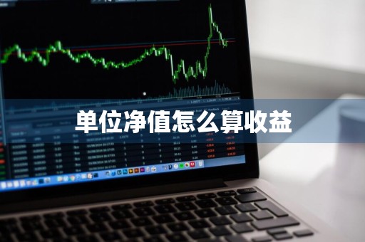 单位净值怎么算收益