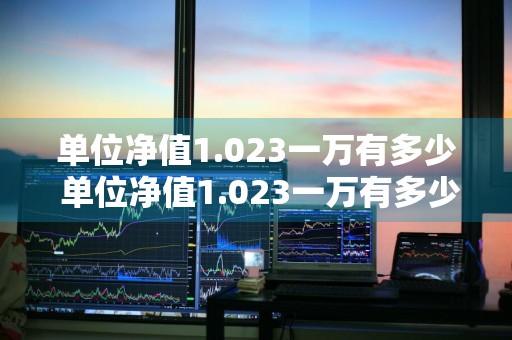 单位净值1.023一万有多少 单位净值1.023一万有多少利息