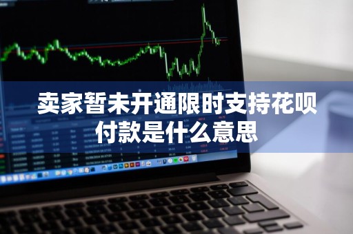 卖家暂未开通限时支持花呗付款是什么意思