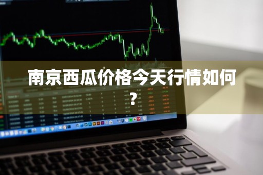 南京西瓜价格今天行情如何？