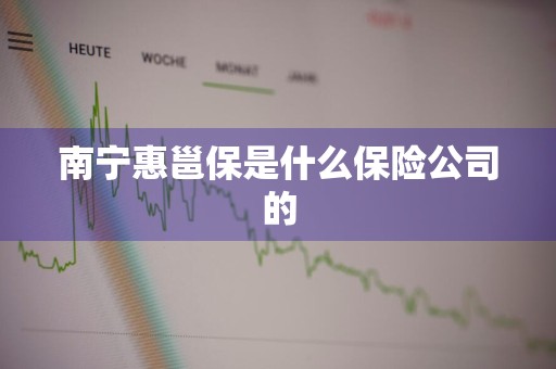 南宁惠邕保是什么保险公司的