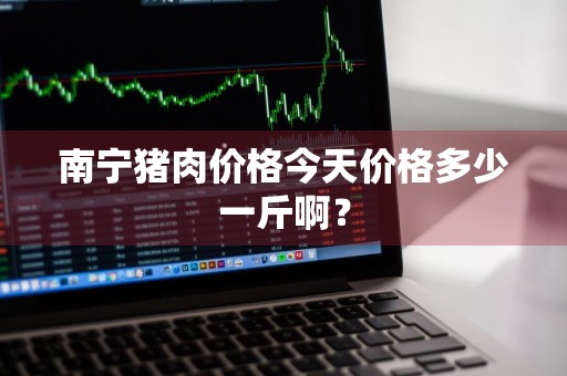 南宁猪肉价格今天价格多少一斤啊？