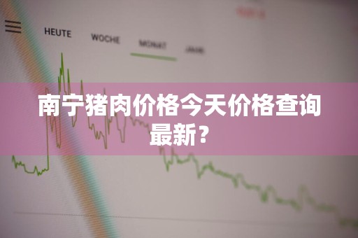 南宁猪肉价格今天价格查询最新？