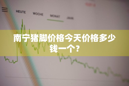 南宁猪脚价格今天价格多少钱一个？