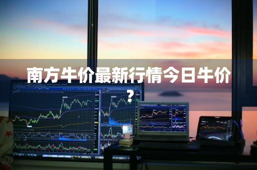 南方牛价最新行情今日牛价？