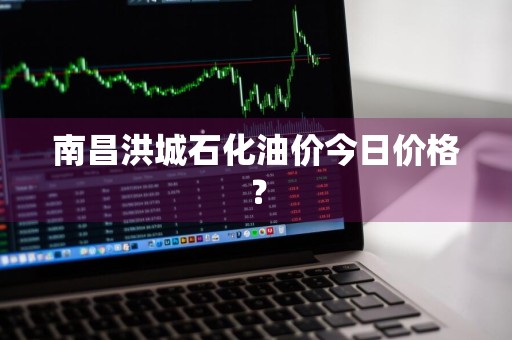 南昌洪城石化油价今日价格？