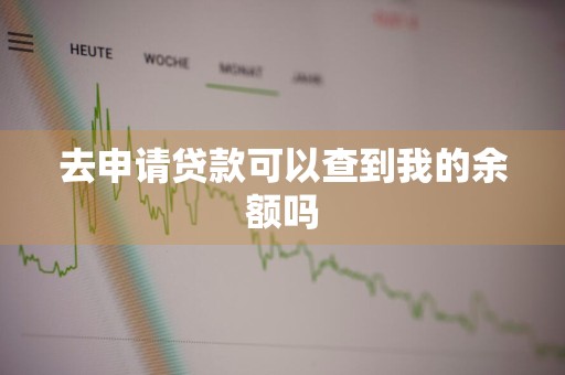 去申请贷款可以查到我的余额吗
