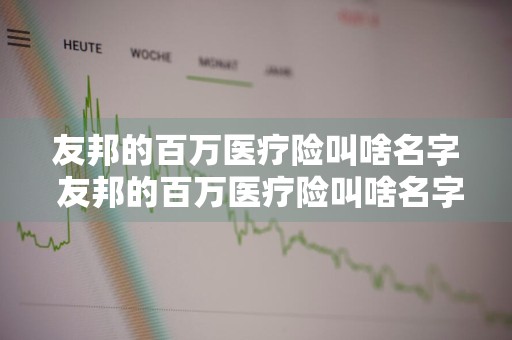 友邦的百万医疗险叫啥名字 友邦的百万医疗险叫啥名字?