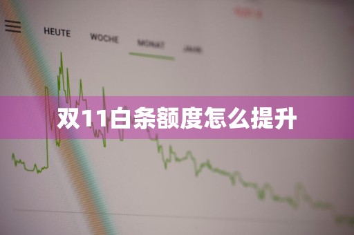 双11白条额度怎么提升