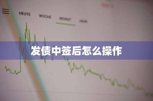 发债中签后怎么操作