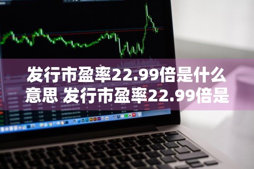 发行市盈率22.99倍是什么意思 发行市盈率22.99倍是什么意思啊