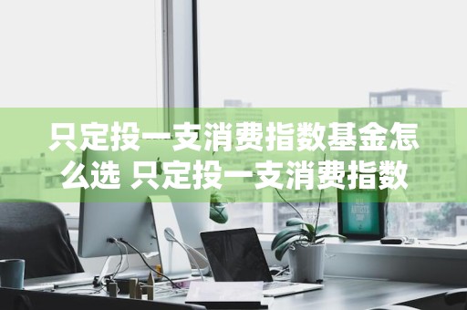 只定投一支消费指数基金怎么选 只定投一支消费指数基金怎么选择
